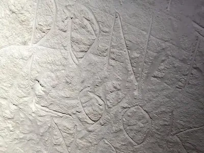 Vandals broke in to Koonalda Cave in South Australia and wrote a prank message over 30,000 year old art
