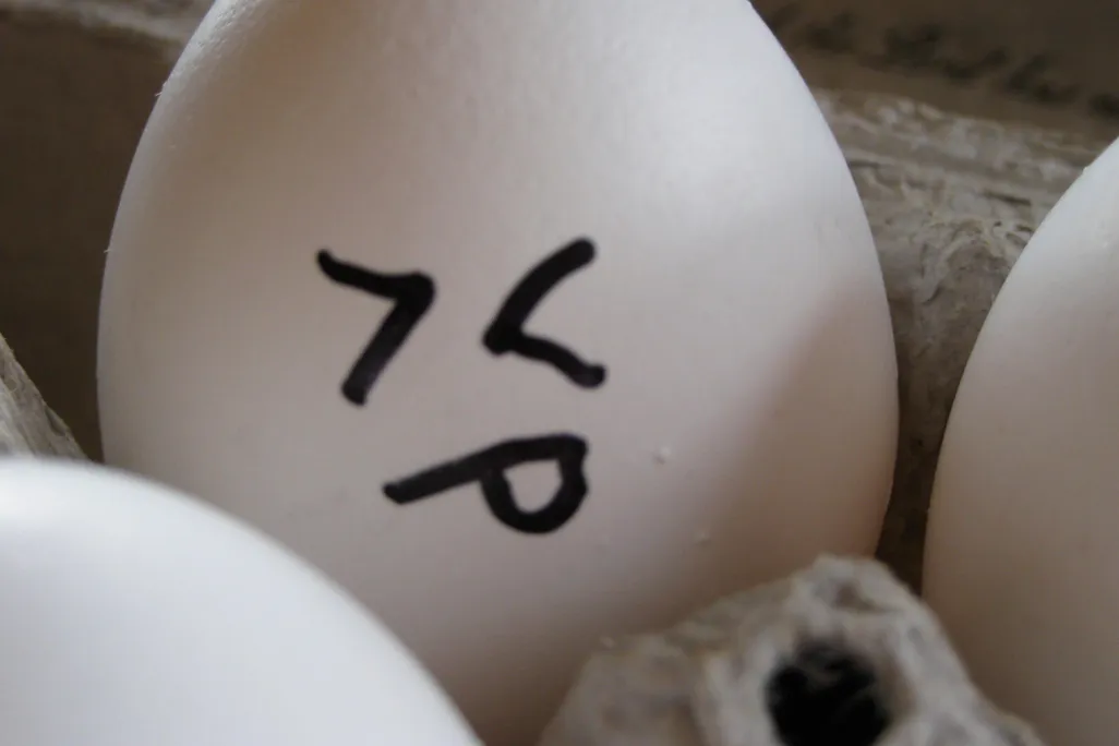 egg emoji