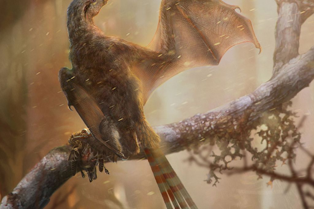 Bat-Like Dino