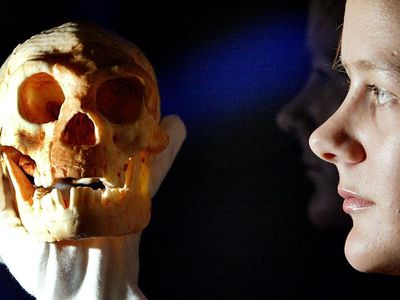 To be or not to be human? That's a question some scholars still feel is up for debate when it comes to Homo floresiensis.