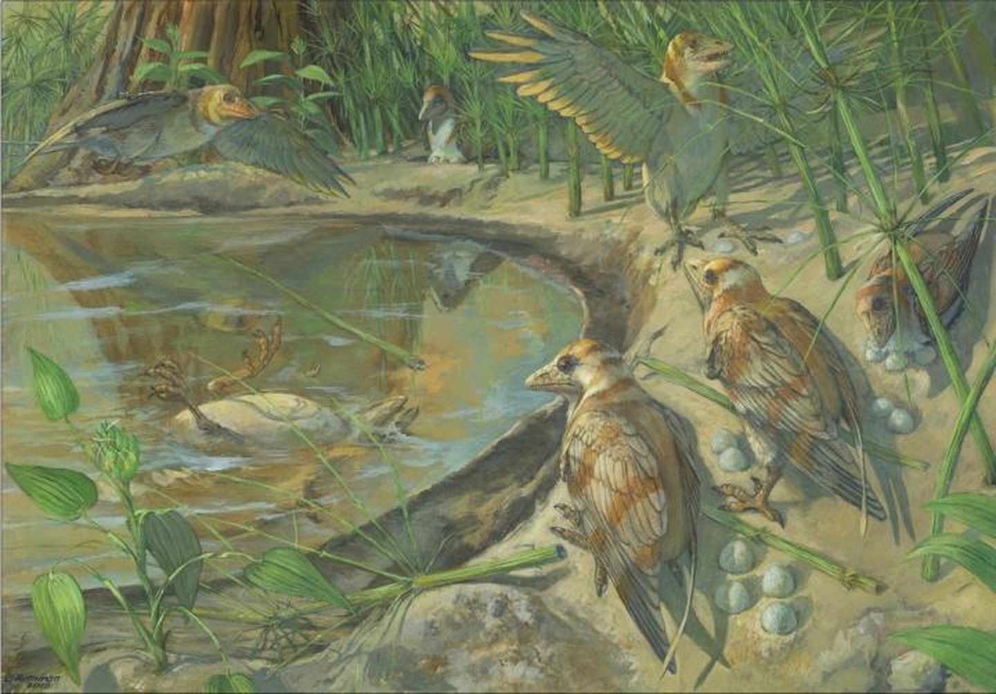 First-Ever Fossilized Mother Bird Found With Unlaid Egg