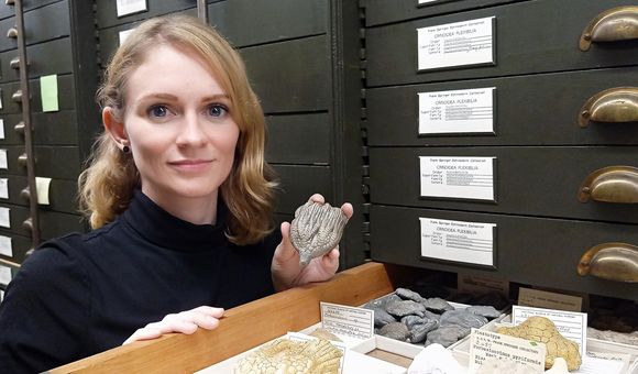 Cole had been using fossils in the National Museum of Natural History’s Springer collections for her research long before joining the museum as a curator. (Selina Cole, Smithsonian)