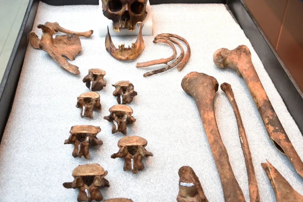 J.B. 55 Bones