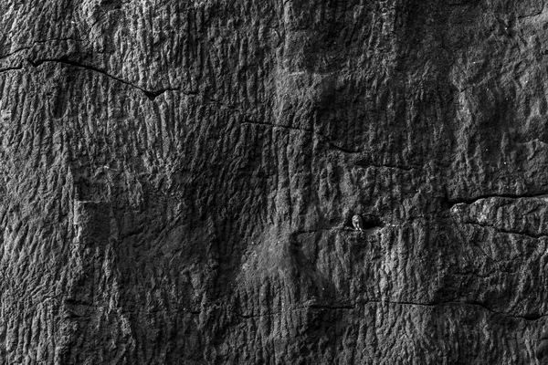 ancient owl thumbnail