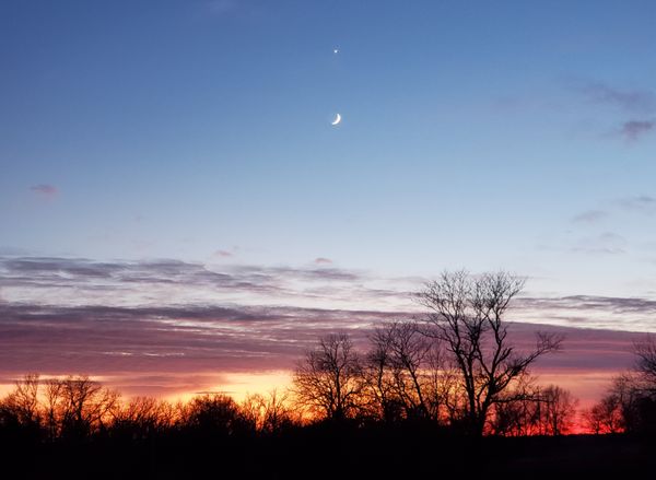 The Moon and Venus Align thumbnail