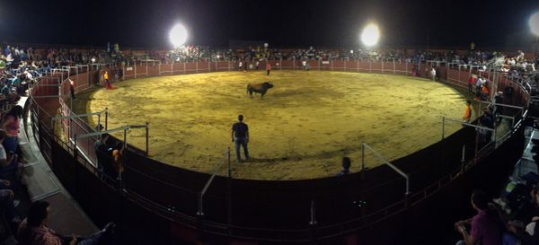 Zamora Bullfight thumbnail