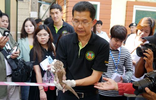 A Thai enforcement officer with one of the shocked, rescued babies.