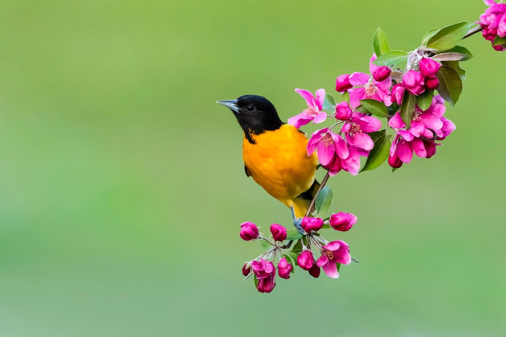 iStock-532394266.jpg