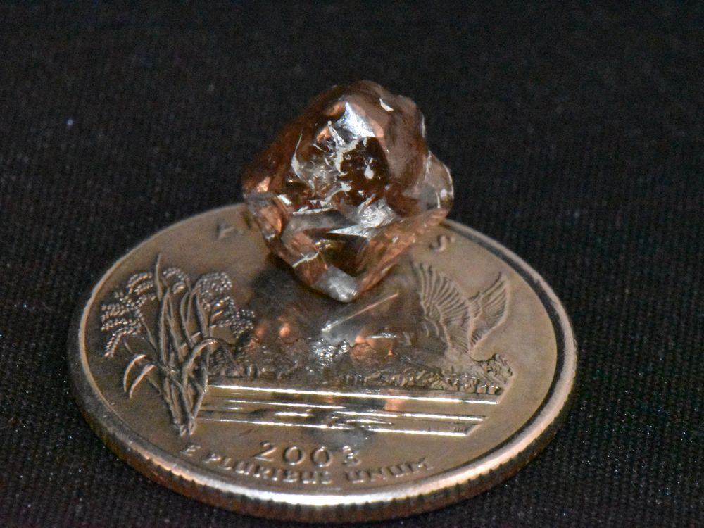 Brown gem sitting atop a coin