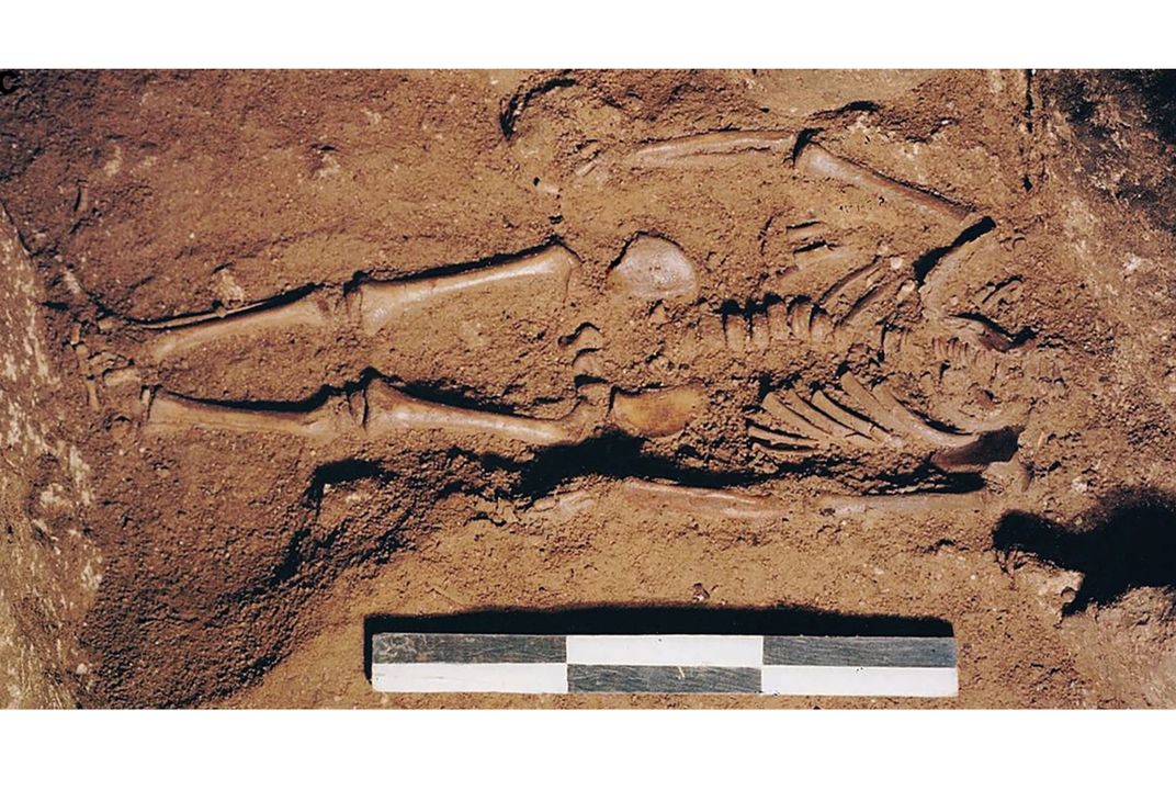 An Ice Age Infant's 17,000-Year-Old DNA Reveals He Had Dark Skin and Blue  Eyes