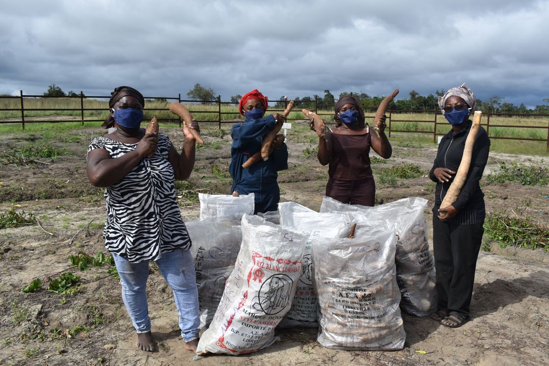 Un grupo de personas con máscaras se para junto a bolsas gigantes que muestran grandes raíces de yuca.