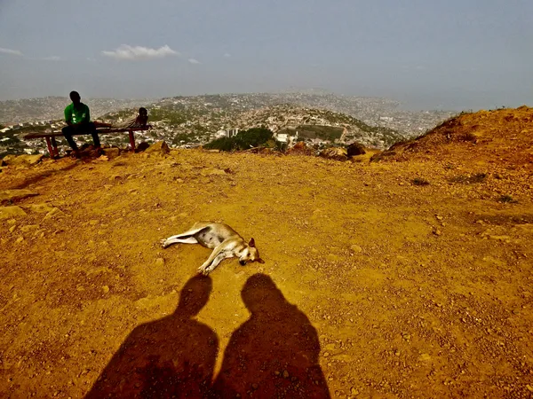 A Shadow Couple With a Sleeping Dog Relaxed and Enjoyed the Lovely View From a Freetown Hilltop thumbnail