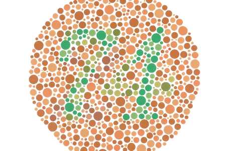 Ishihara Plate 9