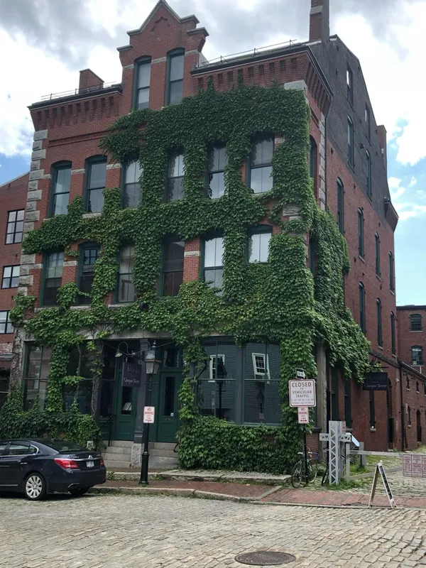 The Ivy Corner of Old Port thumbnail