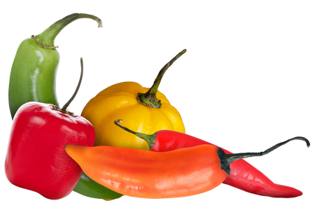 Group of red, yellow, orange, green peppers. (Biomuseo)