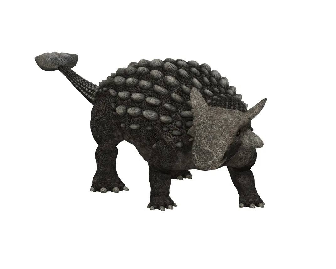 Ankylosaurus