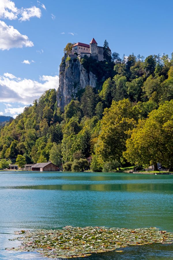 Bled Castle, Slovenia thumbnail