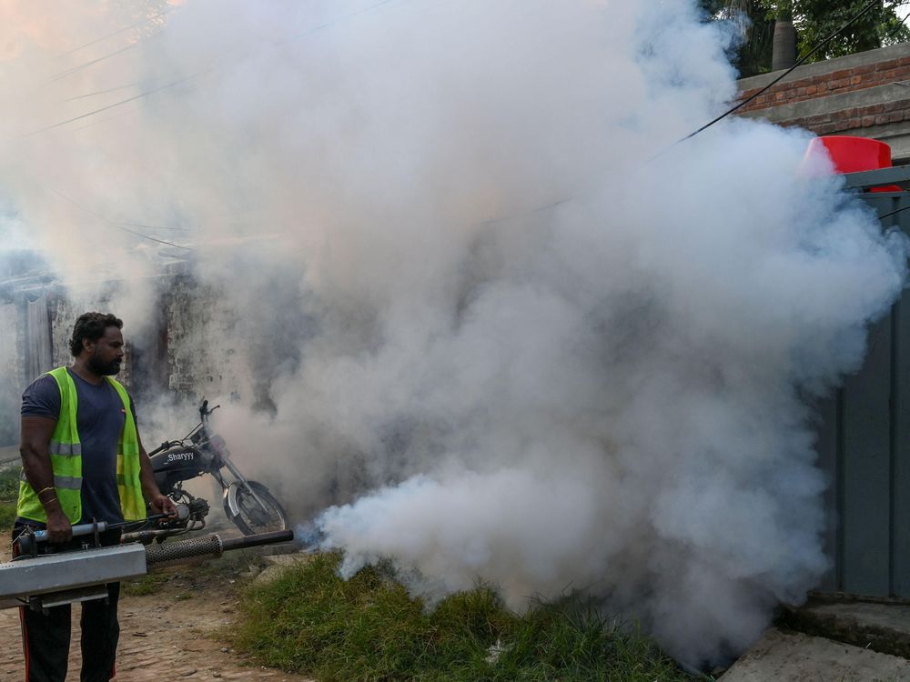 Health worker fumigates residence in Lahore