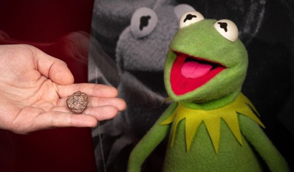 Kermit Smithsonian close up_TMS Edit copy.jpg