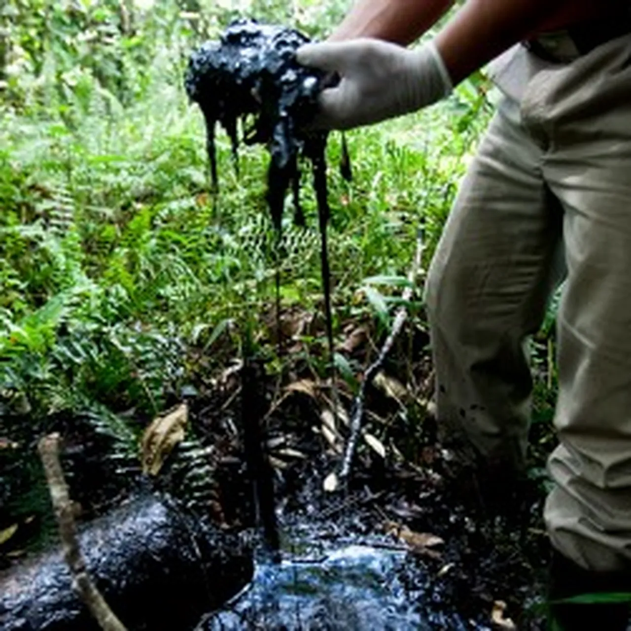 A Ruptured Pipe Spilled Oil Upstream of the Amazon River