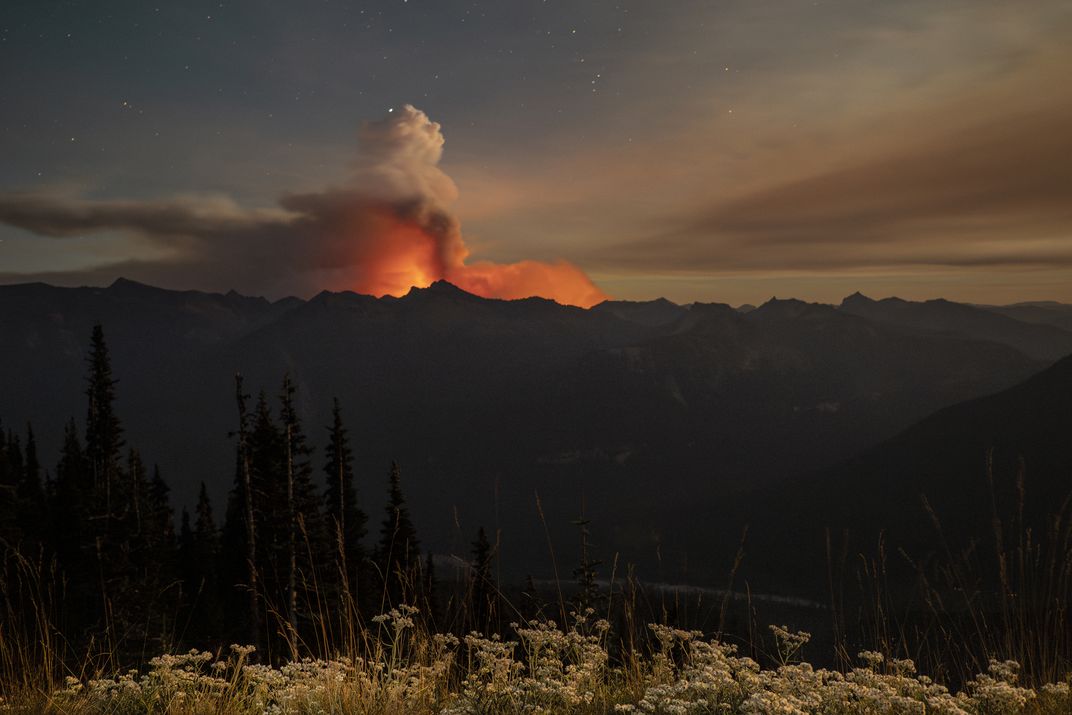 During her time with the kits, Stuart observed the Wildcat Fire, which started with a lightning strike on August 25, 2025, southeast of the park. Longer, more destructive fires caused by a drying climate are among the many threats that Cascade red foxes m