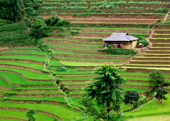 Treasures of Vietnam: A Tailor-Made Journey description