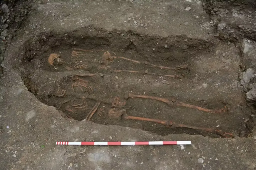Two skeletons in dirt hole with measuring stick nearby