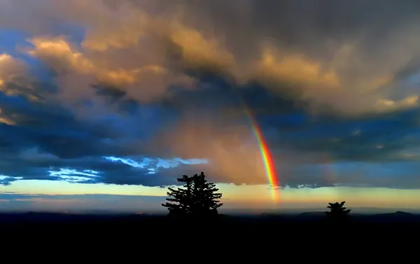 Wilson Creek Rainbow thumbnail