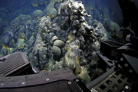 The labyrinthine network stretches roughly 4.5 miles across the ocean floor 