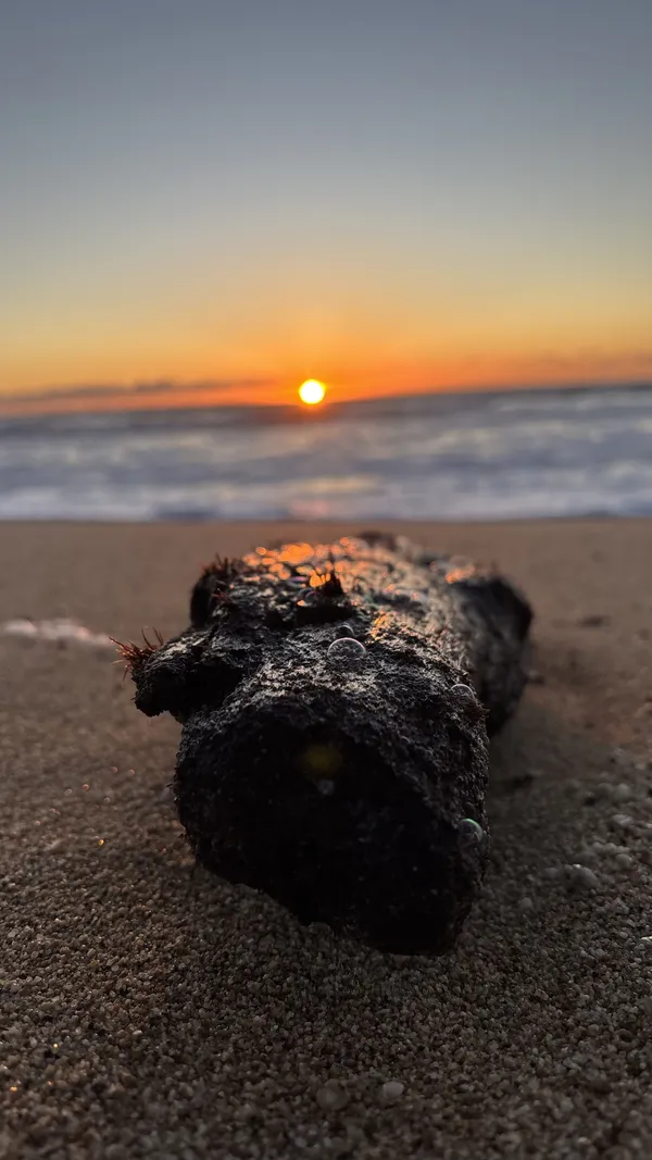 Drifting through the day thumbnail