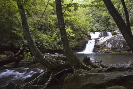 Wildcat Falls at Slickrock Creek, Joyce-Kilmer Slickrock Wilderness