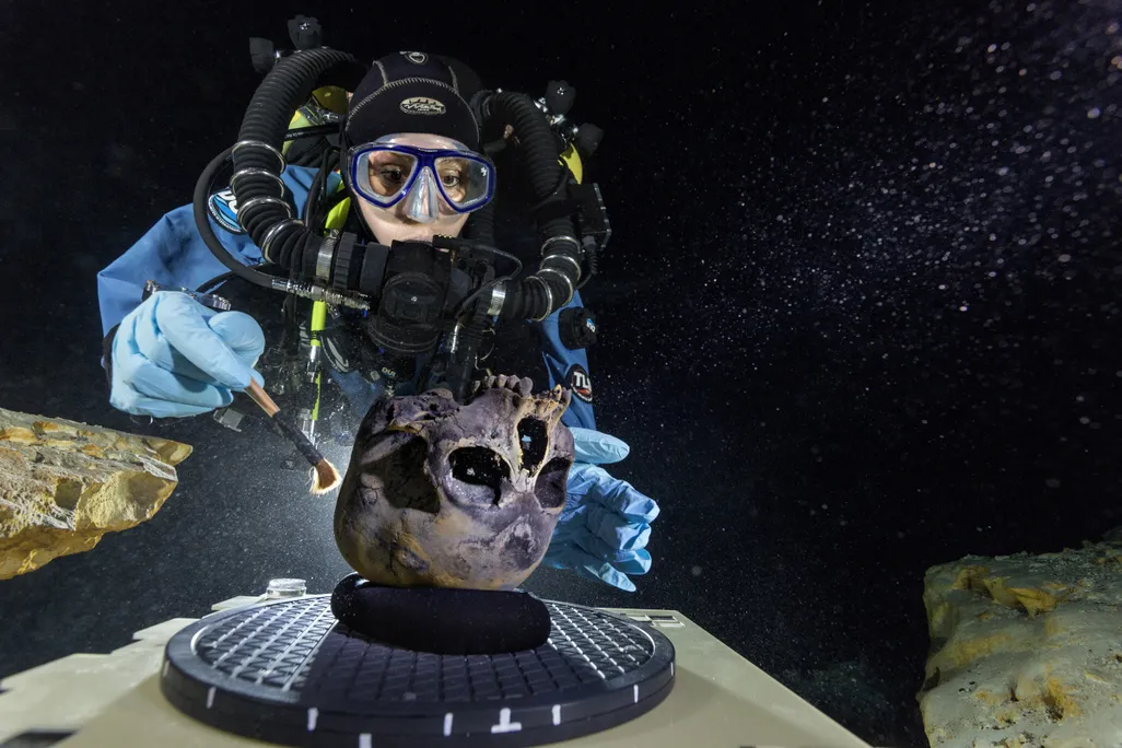 Diver Susan Bird