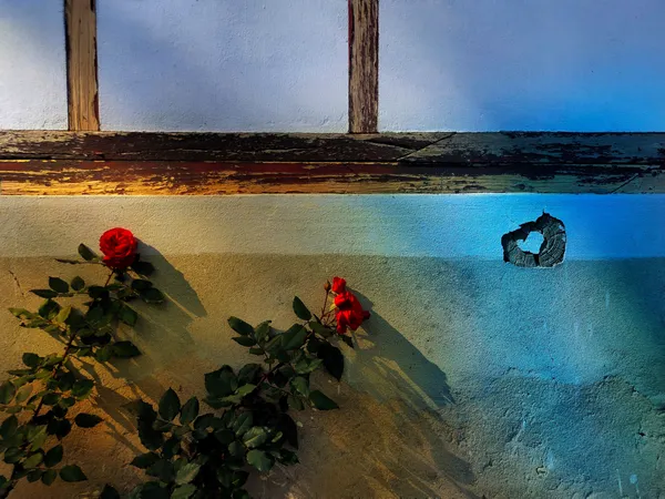 Poetry Of The Ordinary thumbnail