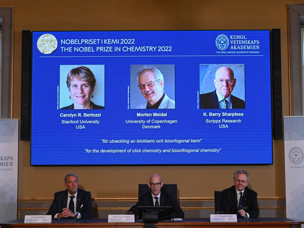 Members of the Nobel Committee for Chemistry seated at a table announcing 2022's winners. Pictures of the winners are displayed on a screen behind them.