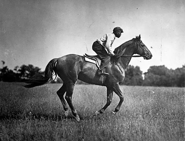 Man o War racehorse