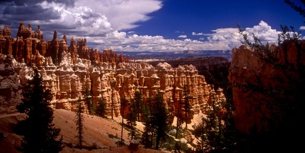 A Wall of Majestic Hoodoos thumbnail