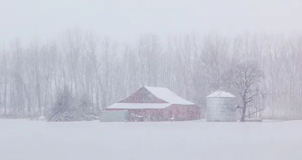 Farm Winter Wonderland thumbnail