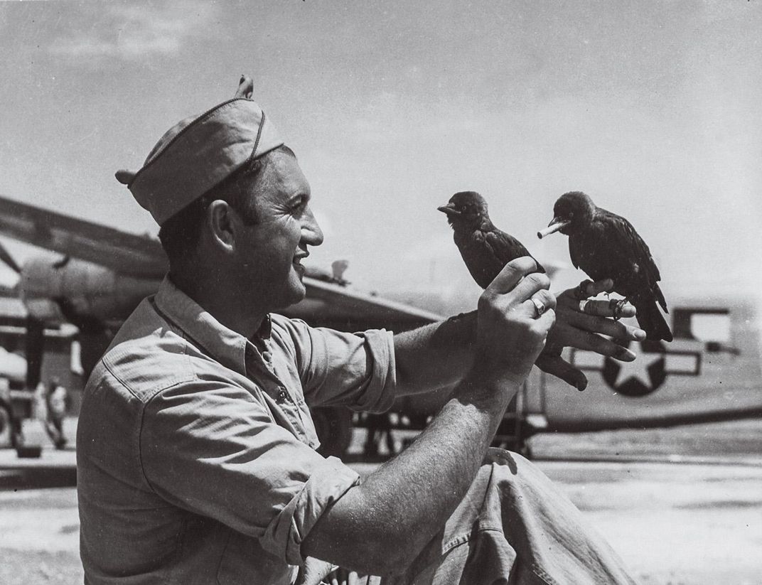 man holding magpies, one with a cigarette in its mouth