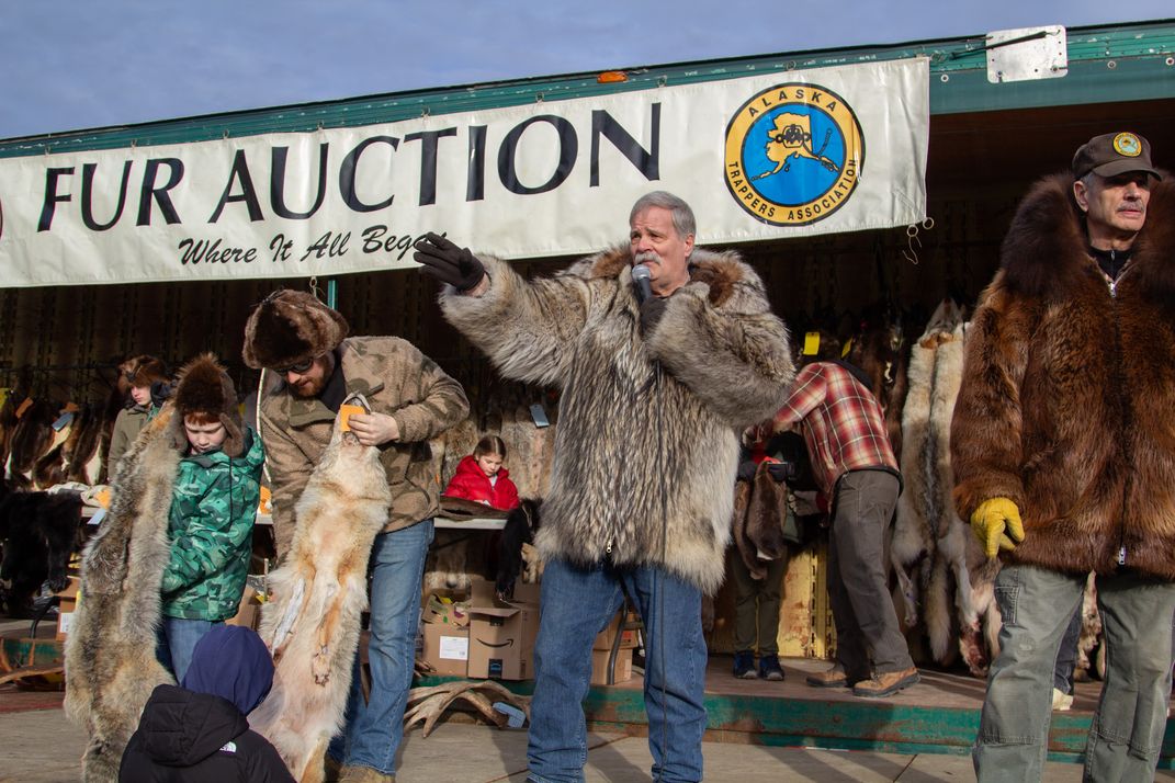 fur auction at the Fur Rendezvous Festival