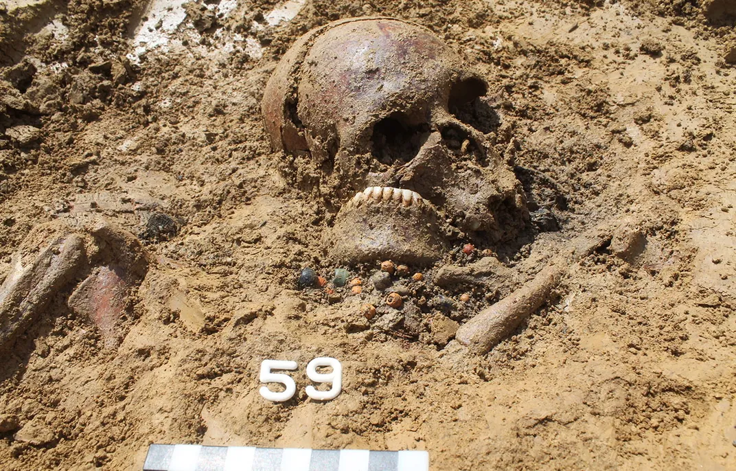 skull