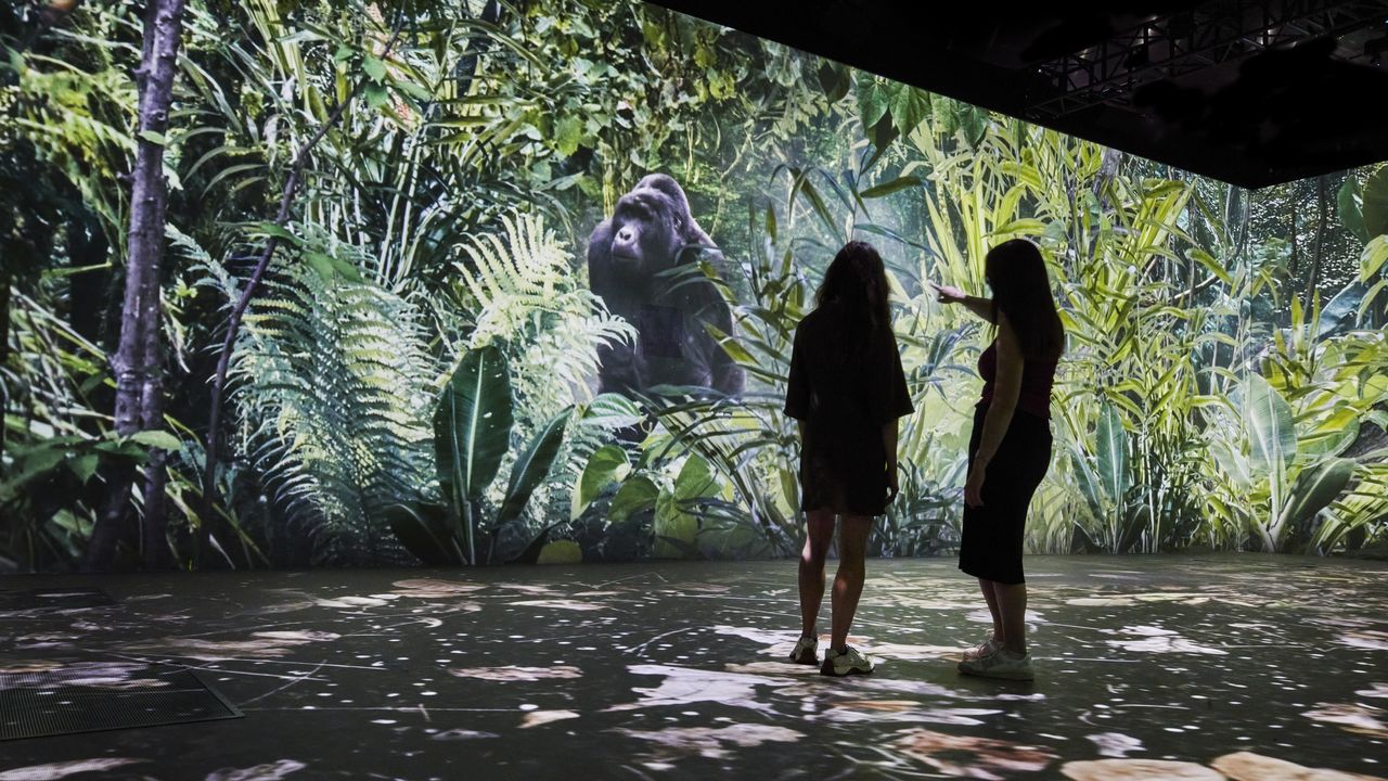 David Attenborough’s Immersive Call to Save Earth