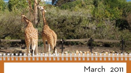 A page from my own calendar, with a photo of giraffes taken at Tarongo Zoo in Sydney, Australia