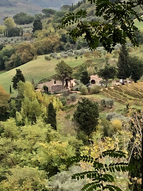 Tuscany hillside thumbnail