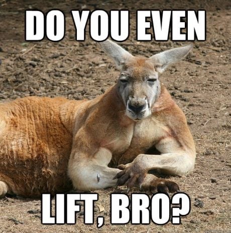 It’s Not Just Men Who Flex Their Biceps at Women—Kangaroos Do, Too