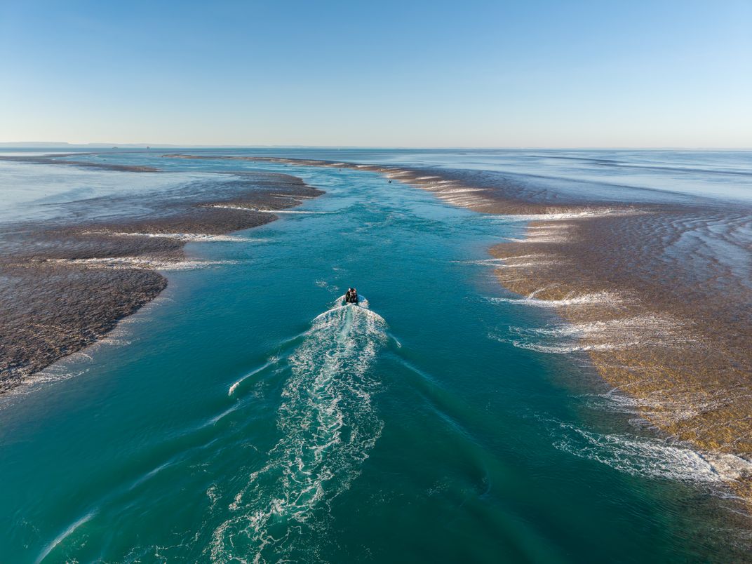 Exploring the "rising" Montgomery Reef, the Kimberley, Australia Credit: Tim Faircloth