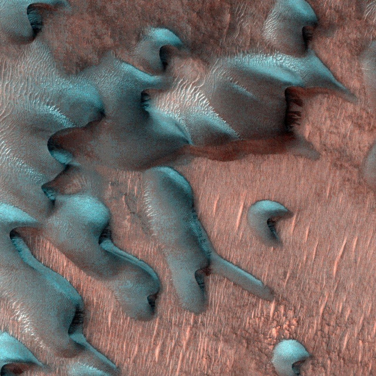 jpegpia25552width-1600.jpg