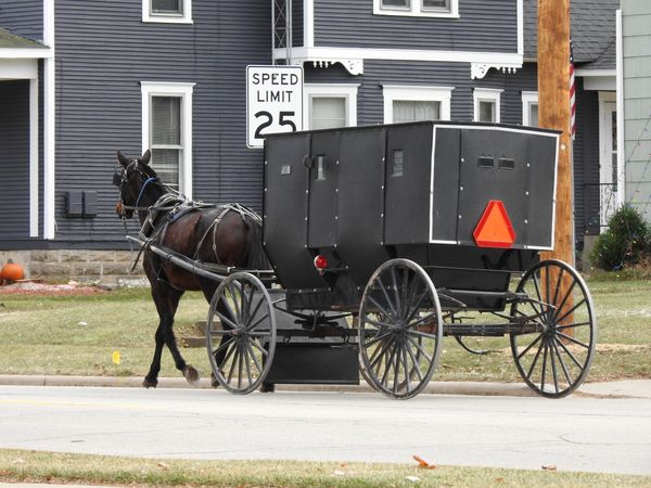 Amish in Wisconsin thumbnail