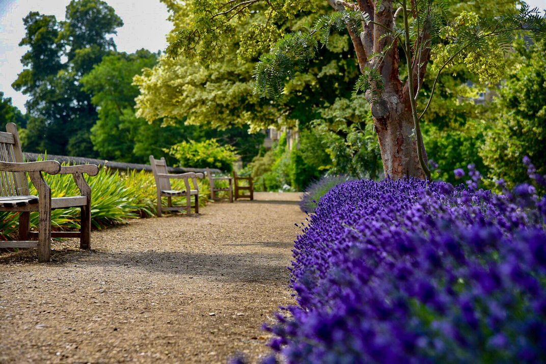 Garden walkway at Merton College. Credit: Wade Jennings