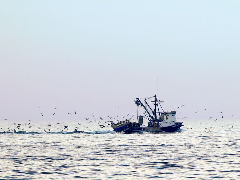 Fishing Boat heading out of Newport Bay, Newport Beach, CA