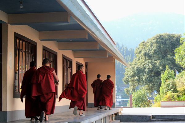 Walk to Daylight thumbnail